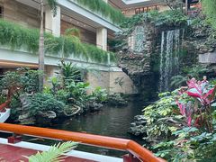 -广州白天鹅宾馆