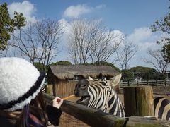 -苏州太湖西山岛开心农场