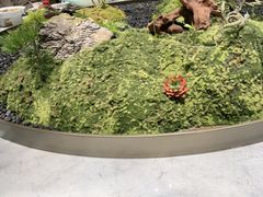 -外滩·云南人家(昆明旗舰店)