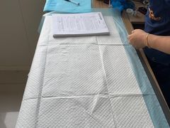 -派美特宠物医院·核磁CT·骨科肿瘤·疑难转诊(沈农禾丰店)