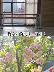 -艾薇芭蕾艺术中心