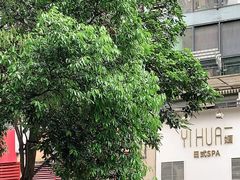 -尊宝比萨(东坡店)