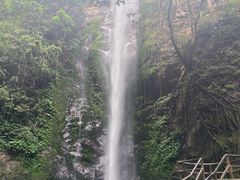 -莫里热带雨林景区