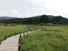 -塞罕坝国家级自然保护区