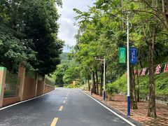 -火炉山森林公园