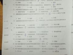 -尤利卡88层观景台