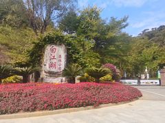 -广州白江湖森林公园