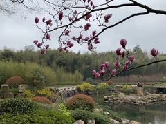 -白马涧龙池景区