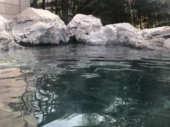 -和园景逸大酒店朗月汤泉
