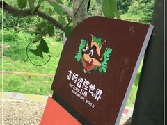 -吉姆冒险世界(蓟州店)