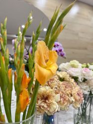 -酉嘉瑜伽YO+YOGA