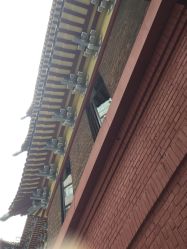 -广州市妇女儿童医疗中心(儿童院区)
