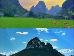 -明仕田园