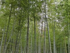 -宜兴张公洞