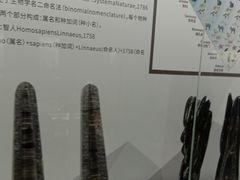 -贝壳王国博物馆