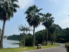 -枫香湖儿童公园