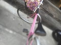 -宁曼路