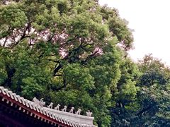 -石峰岩寺