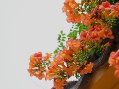 -虎丘山风景名胜区