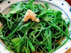 白灼南瓜尖-林四喜·闽南传家菜(鼓浪屿店)