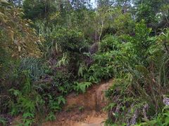 -南屏观音庙