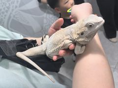 -上海昆虫博物馆