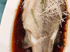 -万荣烤鸭店·北京菜(天坛店)