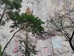 -雁荡山大龙湫景区