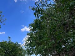 -北京鹫峰国家森林公园