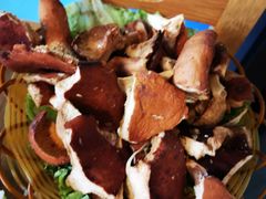 -易门野生菌府·菌海森林(月牙潭公园店)