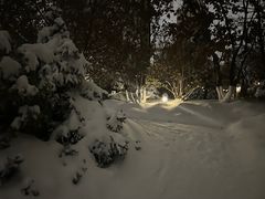 -北三沙家烧麦(北头道街店)