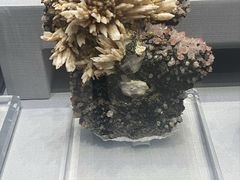 -湖南省地质博物馆