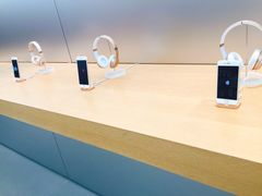 -Apple 零售店(Canton Road)