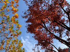 -苏州河梦清园环保主题公园