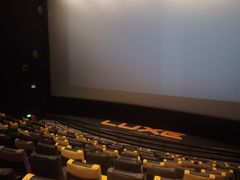 -百美汇影城(LUXE嘉里中心店)