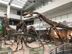 -中国地质大学逸夫博物馆