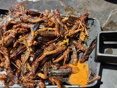 -粗粮人家·东北菜(洋桥店)