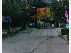 -遵化市禅林寺古银杏风景园