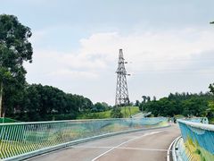 -白鹭湾湿地公园