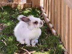 -鄂尔多斯野生动物园