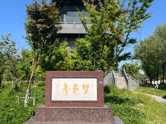 -盐城丹顶鹤湿地生态旅游区