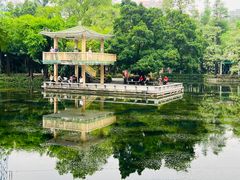 -晓港公园