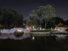 -金砂公园