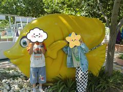 -秦皇岛乐岛海洋王国