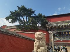 -五台山风景名胜区-罗睺寺