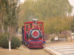 景点-永定河休闲森林公园