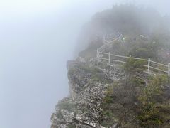 -牛背梁国家森林公园