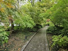 -公平路渡口(轮渡站)