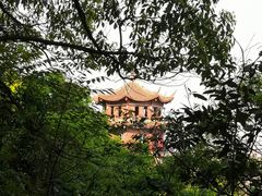 -杭州半山国家森林公园