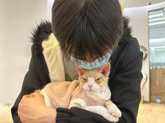 -1013 PET SHOP精品宠物商店(丁香店)